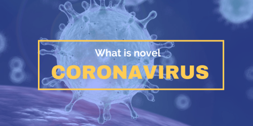 What Does Novel Coronavirus Mean
