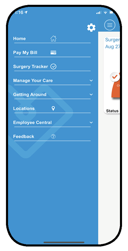 BRG mobile app preview