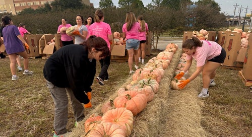 pumpkin volunteers